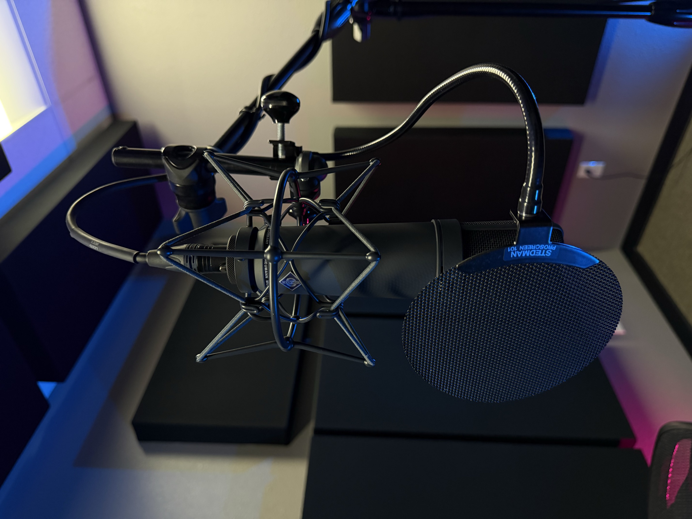 Vocal microphone and pop filter in Studio 22's recording booth